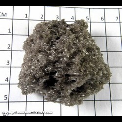 Mineral Specimen: Pumice (floats) from Lava Flow, Mt. Hoffman, Modoc Co., Californa Mineral Specimen: Pumice (floats) from Lava Flow, Mt. Hoffman, Modoc Co., Californa