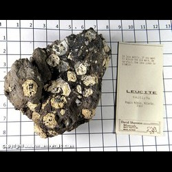 Mineral Specimen: Leucite from Poggio Nibbio, Viterbo, Italy