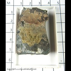 Mineral Specimen: Andradite Garnet variety: Topazolite from Hess quarry, Wurlitz, Rehau, Hof Dist., Upper Franconia, Bavaria, Germany