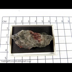 Mineral Specimen: Catapleiite from Norra Karr, Granna, Jonkoping, Sweden