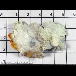 Mineral Specimen: Artinite, Desautelsite, Talc from 4 miles north of Benitoite Gem Mine, San Benito Co., California