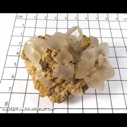 Mineral Specimen: Calcite twinned Crystals on Barite from Washington Co,  Missouri