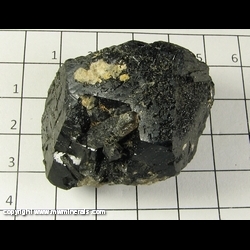 Mineral Specimen: Tourmaline (Schorl) and Quartz from Santa Cruz,  Sonora, Mexico
