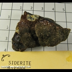 Mineral Specimen: Siderite, Iridescent from Bisbee, Cochise Co,  Arizona