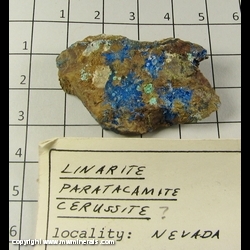 Minerals Specimen: Linarite, Paratacamite from Old Soldier Mine, Churchill Co, Nevada Minerals Specimen: Linarite, Paratacamite from Old Soldier Mine, Churchill Co, Nevada