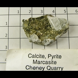 Minerals Specimen: Calcite, Pyrite from Cheney Quarry, Bellevue, Eaton Co, Michigan Minerals Specimen: Calcite, Pyrite from Cheney Quarry, Bellevue, Eaton Co, Michigan