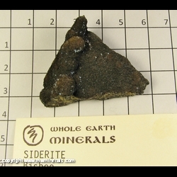 Mineral Specimen: Siderite from Bisbee, Cochise Co, Arizona Mineral Specimen: Siderite from Bisbee, Cochise Co, Arizona