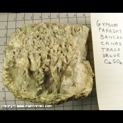 Minerals Specimen: Gypsum from Faraday Mine, Bancroft, Ontario, Canada Minerals Specimen: Gypsum from Faraday Mine, Bancroft, Ontario, Canada