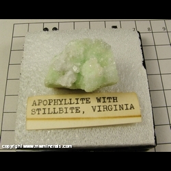 Mineral Specimen: Apophyllite, Stilbite on Prehnite from Virginia Mineral Specimen: Apophyllite, Stilbite on Prehnite from Virginia