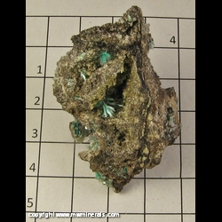 Mineral Specimen: Aurichalcite, Cuprian Smithsonite from 79 Mine, Hayden, Gila Co, Arizona, USA Mineral Specimen: Aurichalcite, Cuprian Smithsonite from 79 Mine, Hayden, Gila Co, Arizona, USA