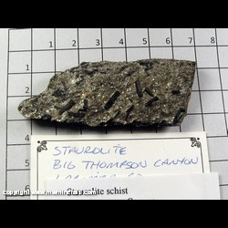 Minerals Specimen: Staurolite from Big Thompson Canyon, Larimer Co, Colorado Minerals Specimen: Staurolite from Big Thompson Canyon, Larimer Co, Colorado