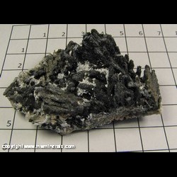 Mineral Specimen: Schorl Tourmaline from Santa Cruz,  Sonora, Mexico