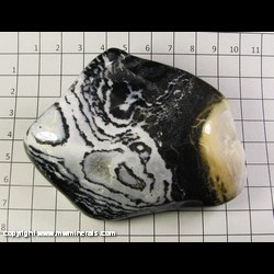 Mineral Specimen: Agate, Zebra from India