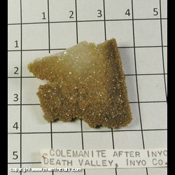 Mineral Specimen: Colemanite pseudomorph after Inyoite from Death Valley, Inyo Co, California Mineral Specimen: Colemanite pseudomorph after Inyoite from Death Valley, Inyo Co, California