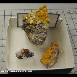 Minerals Specimen: Wulfenite, Mimetite from Rowley Mine, Thebes, Maricopa Co, Arizona Minerals Specimen: Wulfenite, Mimetite from Rowley Mine, Thebes, Maricopa Co, Arizona