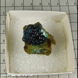Mineral Specimen: Clinoclase from Majuba Hill Mine, Pershing Co, Nevada, USA Mineral Specimen: Clinoclase from Majuba Hill Mine, Pershing Co, Nevada, USA