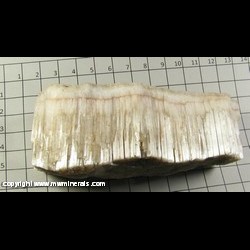 Minerals Specimen: Gypsum Satin Spar, Alabaster from Alpena, Alpena Co, Michigan Minerals Specimen: Gypsum Satin Spar, Alabaster from Alpena, Alpena Co, Michigan