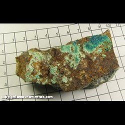 Minerals Specimen: Cornetite from Blue Jay Mine, Yerington district, Lyon Co, Nevada Minerals Specimen: Cornetite from Blue Jay Mine, Yerington district, Lyon Co, Nevada