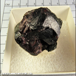 Mineral Specimen: Almandine Garnet, Biotite Schist from Styria, Austria Mineral Specimen: Almandine Garnet, Biotite Schist from Styria, Austria