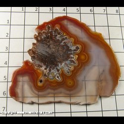 Minerals Specimen: Agate, thin polished from Chihuahua, Mexico Minerals Specimen: Agate, thin polished from Chihuahua, Mexico