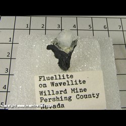 Mineral Specimen: Flueollite on Wavellite from Willard Mine, Pershing Co, Nevada Mineral Specimen: Flueollite on Wavellite from Willard Mine, Pershing Co, Nevada