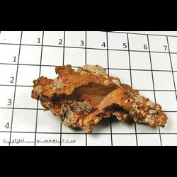 Mineral Specimen: Copper from Lake Superior Copper District, Michigan Mineral Specimen: Copper from Lake Superior Copper District, Michigan