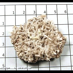 Mineral Specimen: Gypsum from Bisbee, Cochise Co,  Arizona