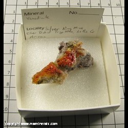 Mineral Specimen: Vanadinite from Silver King Mine, Silver Dist, Trigo Mts, La Paz Co, Arizona Mineral Specimen: Vanadinite from Silver King Mine, Silver Dist, Trigo Mts, La Paz Co, Arizona