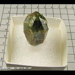 Minerals Specimen: Fluorapatite, Calcite from Otter Lake, Quebec, Canada Minerals Specimen: Fluorapatite, Calcite from Otter Lake, Quebec, Canada