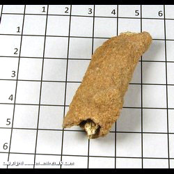 Mineral Specimen: Fulgurite (Sand fused by Lightning) from Madagascar Mineral Specimen: Fulgurite (Sand fused by Lightning) from Madagascar