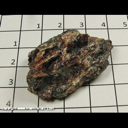 Minerals Specimen: Almandine Garnet in Hornblende (Pargasite) from Gore Mt, North River, Warren Co, New York, USA Minerals Specimen: Almandine Garnet in Hornblende (Pargasite) from Gore Mt, North River, Warren Co, New York, USA