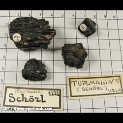 Mineral Specimen: Schorl Tourmaline - 4 specimens from Location Unknown