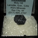 Minerals Specimen: Molybdenite from Moly Hill, Lamotte, Quebec, Canada