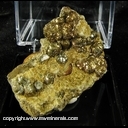 Minerals Specimen: Pyrite from Triunfo Canyon, Sanat Monica Mountains, N. of Malibu, Los Angeles Co., California