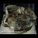 Mineral Specimen: Pyrolusite from Taylor Iron Mine, Alberta Twp., Baraga Co., Michigan Mineral Specimen: Pyrolusite from Taylor Iron Mine, Alberta Twp., Baraga Co., Michigan