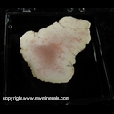 Mineral Specimen: Datolite from Superior Mine, Mass city, Ontonagon County, Michigan Mineral Specimen: Datolite from Superior Mine, Mass city, Ontonagon County, Michigan