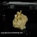 Minerals Specimen: Gold on Quartz from near Newcastle, Wyoming