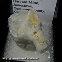 Minerals Specimen: Gold in Quartz from Harvard Mine, Jamestone, Tuolumme County, California