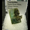 Mineral Specimen: Tourmaline from Santa Rosa Mine, Minas Gerais, Brazil