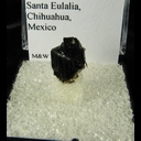 Mineral Specimen: Vivianite from Santa Eulalia, Chihuahua, Mexico Mineral Specimen: Vivianite from Santa Eulalia, Chihuahua, Mexico