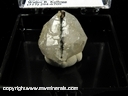 Minerals Specimen: Analcime with included Aegirine from Mt. Ste. Hilaire, Quebec, Canada Minerals Specimen: Analcime with included Aegirine from Mt. Ste. Hilaire, Quebec, Canada