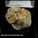 Mineral Specimen: Woodhousite, Quartz from Champion Mine, White Mountain, Laws, White Mts, Mono Co., California, USA Mineral Specimen: Woodhousite, Quartz from Champion Mine, White Mountain, Laws, White Mts, Mono Co., California, USA
