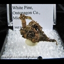 Minerals Specimen: Copper from White Pine Mine, White Pine, Ontonagon County, Michigan Minerals Specimen: Copper from White Pine Mine, White Pine, Ontonagon County, Michigan