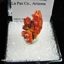 Minerals Specimen: Vanadinite from Pure Potential Mine, Silver District, Trigo Mts., La Paz Co., Arizona Minerals Specimen: Vanadinite from Pure Potential Mine, Silver District, Trigo Mts., La Paz Co., Arizona