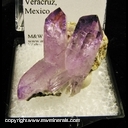 Minerals Specimen: Anethyst from Las Vigas, Veracruz, Mexico Minerals Specimen: Anethyst from Las Vigas, Veracruz, Mexico