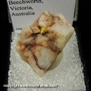 Minerals Specimen: Gold in Quartz from Beedchworth, Victoria, Australia Minerals Specimen: Gold in Quartz from Beedchworth, Victoria, Australia