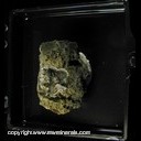 Minerals Specimen: Filiforn Pyrite from Yaquina Head Quarry, Agate Beach, Lincoln Co., Oregon Minerals Specimen: Filiforn Pyrite from Yaquina Head Quarry, Agate Beach, Lincoln Co., Oregon