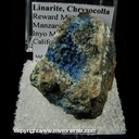 Minerals Specimen: Linarite, Chrysocolla from Reward Mine, Manzanar Station area, Inyo Mts., Inyo Co., California Minerals Specimen: Linarite, Chrysocolla from Reward Mine, Manzanar Station area, Inyo Mts., Inyo Co., California