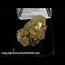 Minerals Specimen: Fluorite from Holloway Quarry, Berlin Twp., Monroe Co., Michigan J. Medici Minerals Specimen: Fluorite from Holloway Quarry, Berlin Twp., Monroe Co., Michigan J. Medici