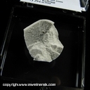 Minerals Specimen: Cristobalite, Fayalite from Coso Hot Springs, Inyo, California Minerals Specimen: Cristobalite, Fayalite from Coso Hot Springs, Inyo, California